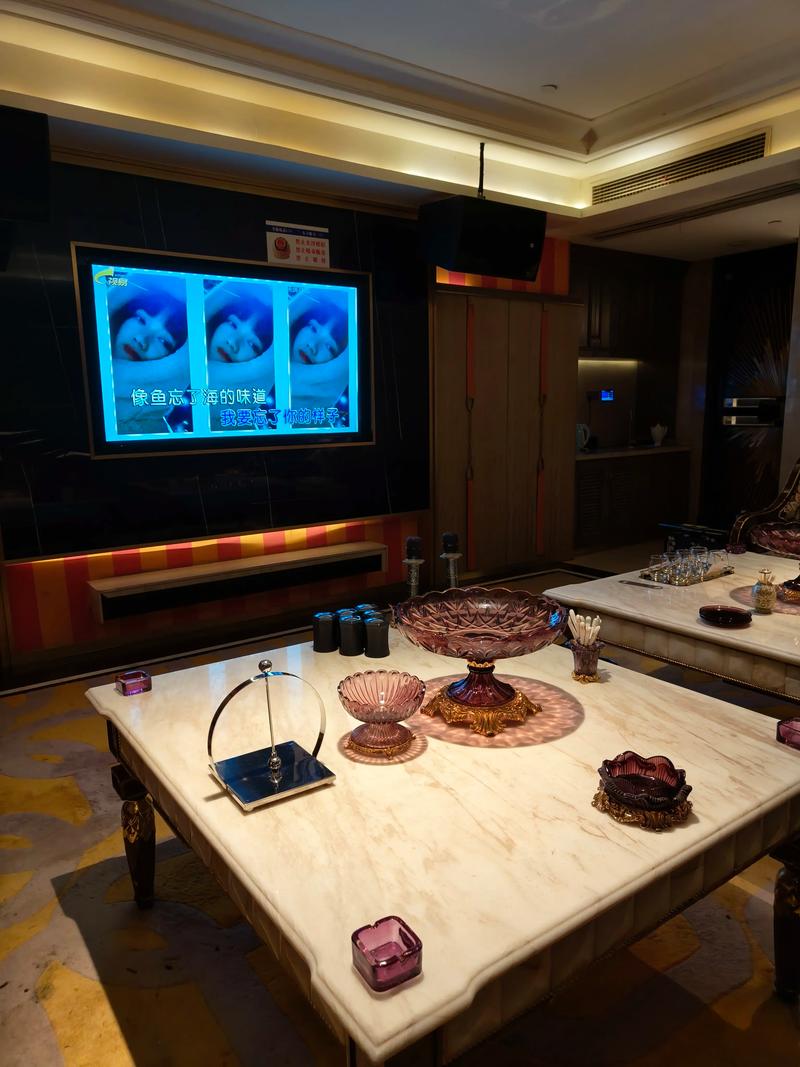 攀枝花商务ktv哪里有好选择-仁和区ktv预订